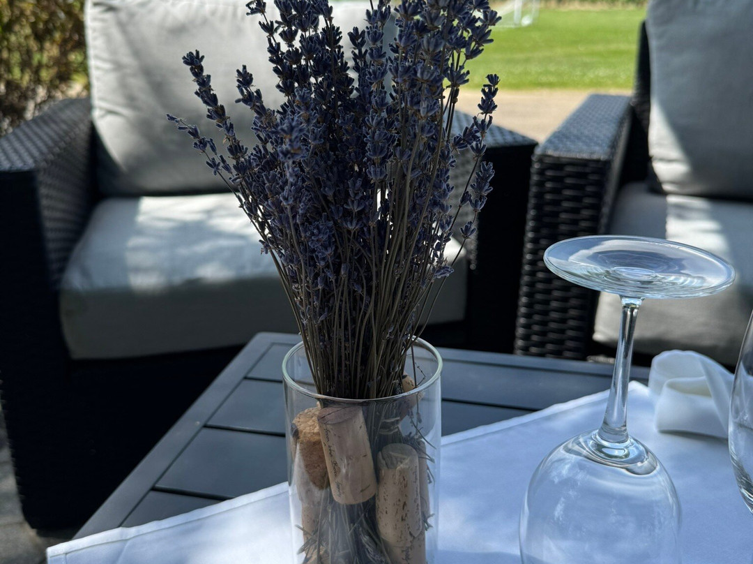 Château Des Charmes Winery-滨湖尼亚加拉必去景点