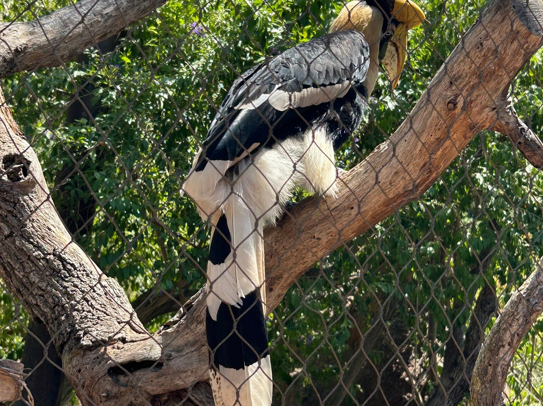Bioparc Fuengirola-福恩吉罗拉必去景点
