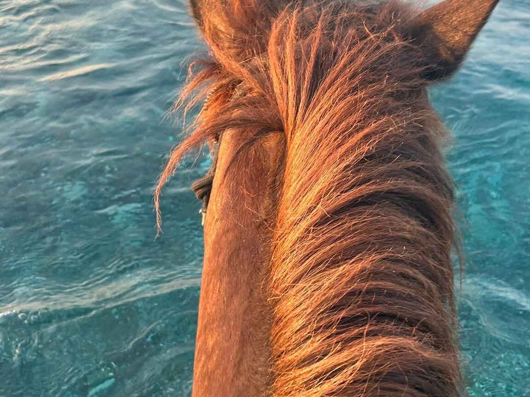 Rocking Horse Ranch-Gennadi必去景点