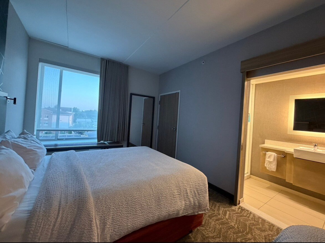 辛辛那提布鲁艾施SpringHill Suites酒店主图