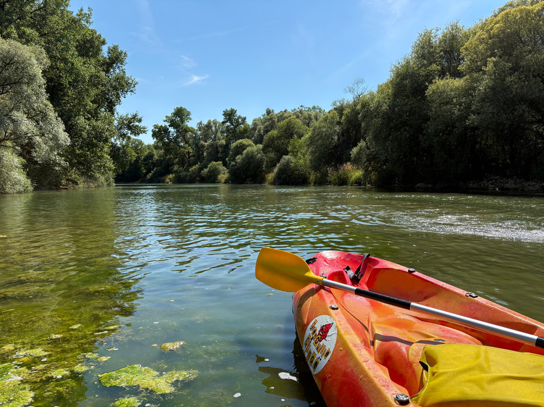 Grenouille Canoë-Pont-de-Poitte必去景点