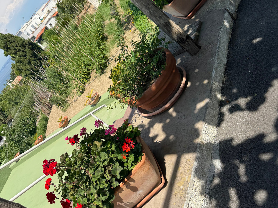 维拉道尔塔酒店主图