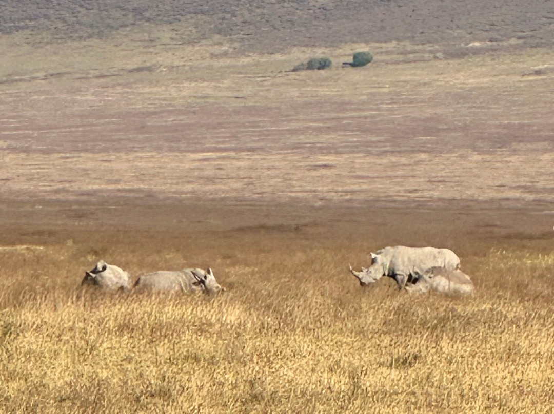 BADGER ADVENTURES TOURS & SAFARI-Arusha Chini必去景点