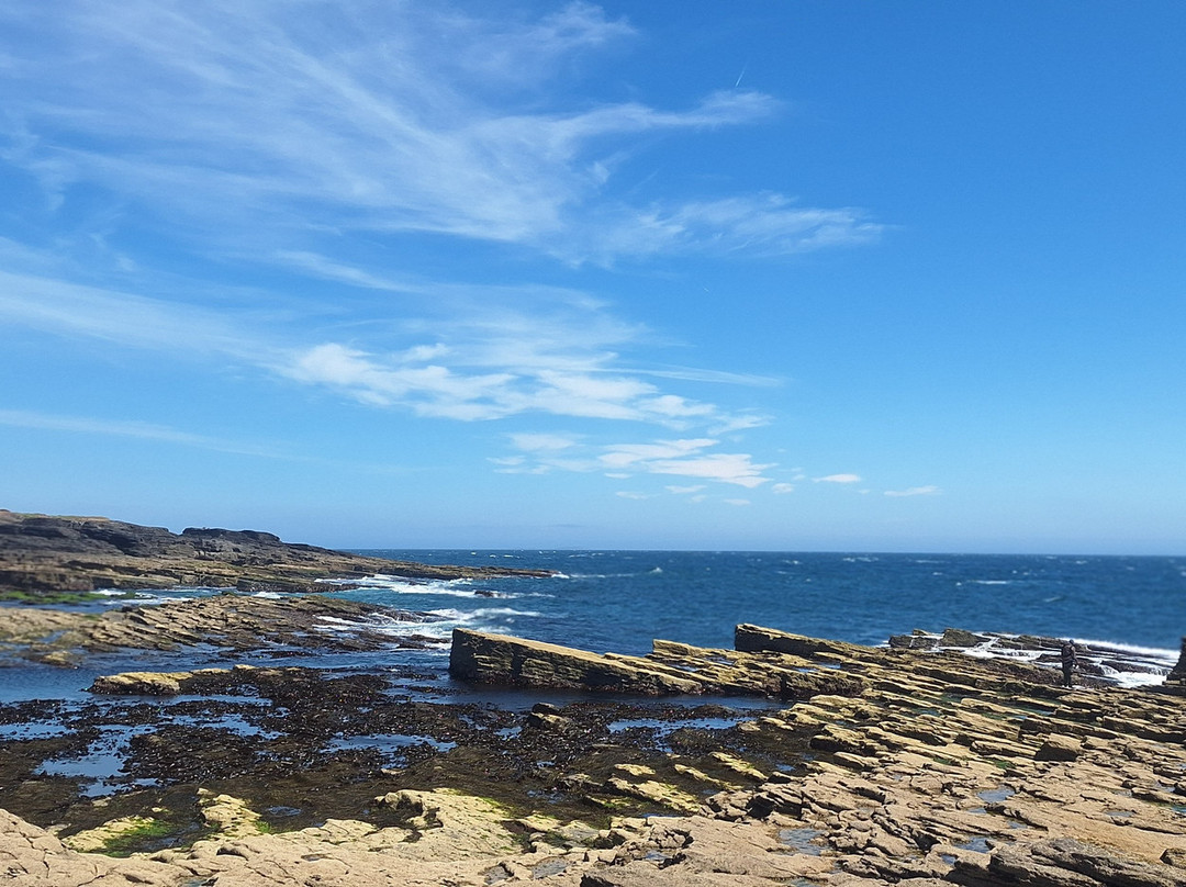 Hook Lighthouse-Fethard On Sea必去景点