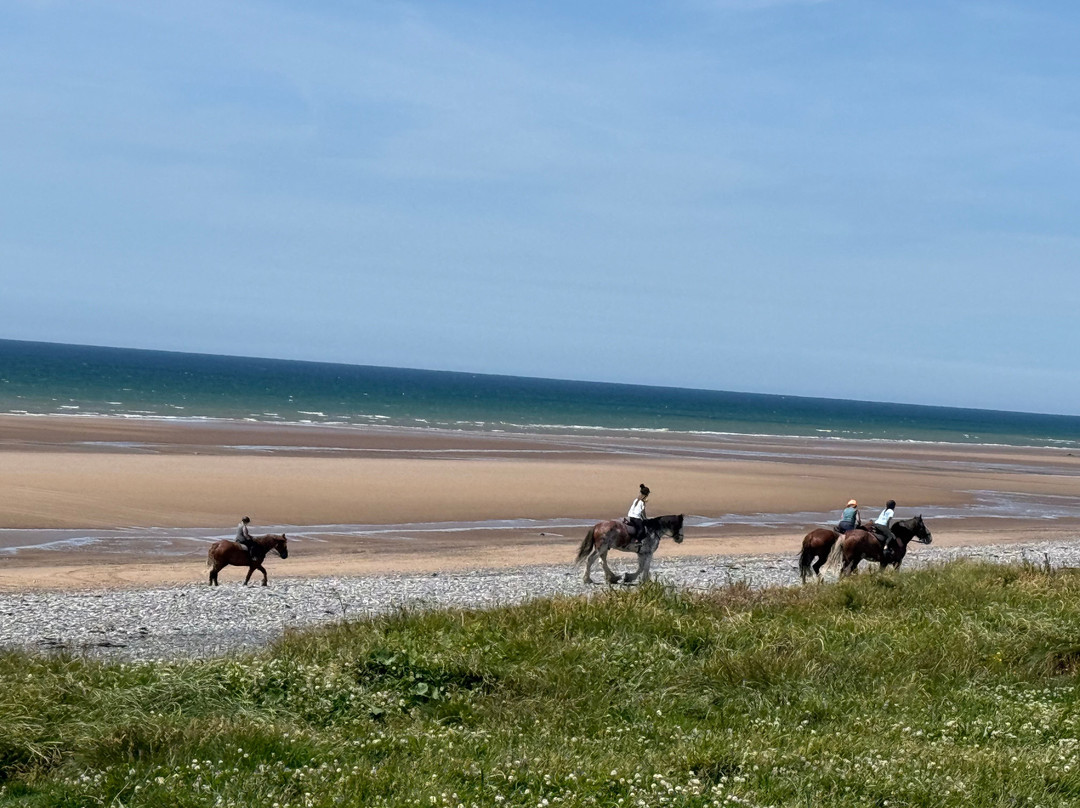 Silecroft Beach-Silecroft必去景点