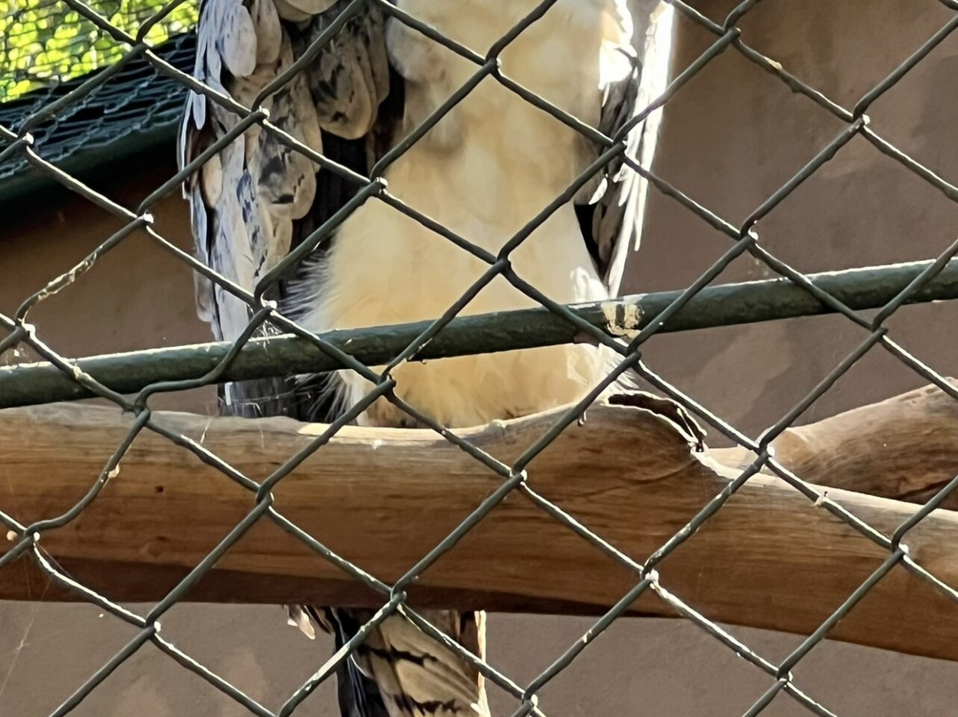 Zoologico De Sao Paulo-圣保罗必去景点