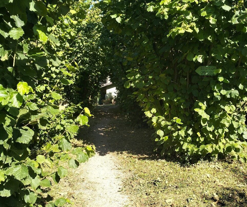 Cà San Ponzio Country House & Spa主图