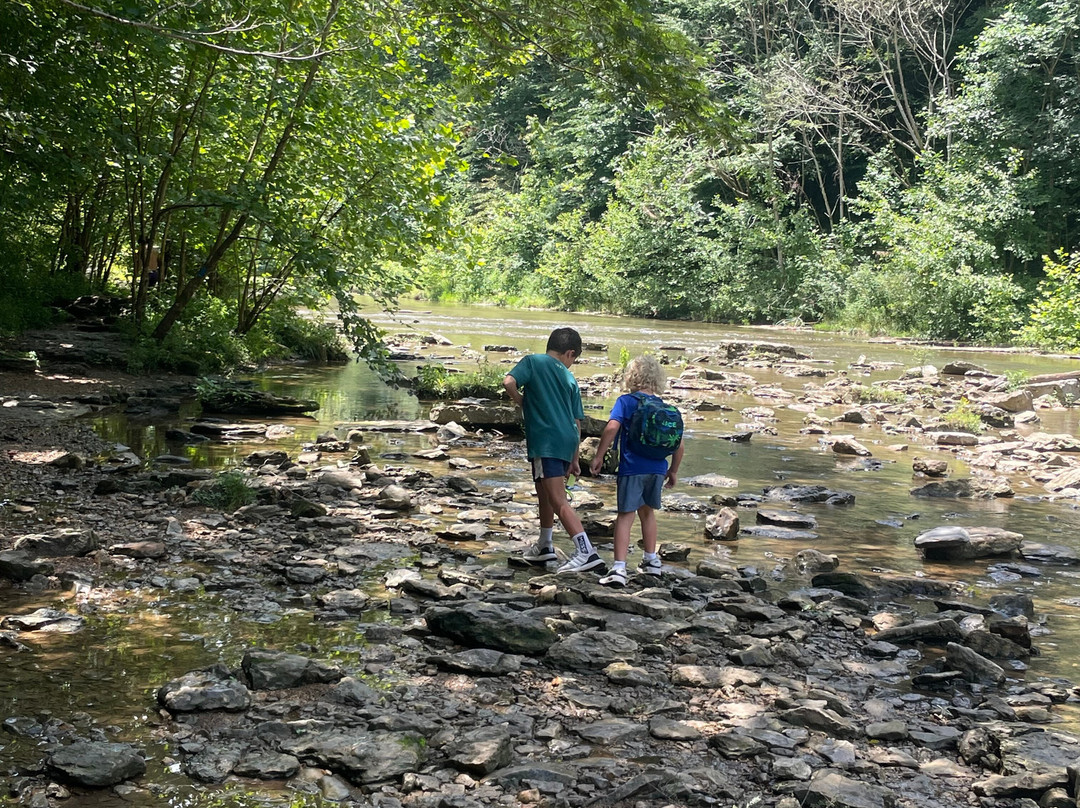 Cummins Falls State Park-库克维尔必去景点