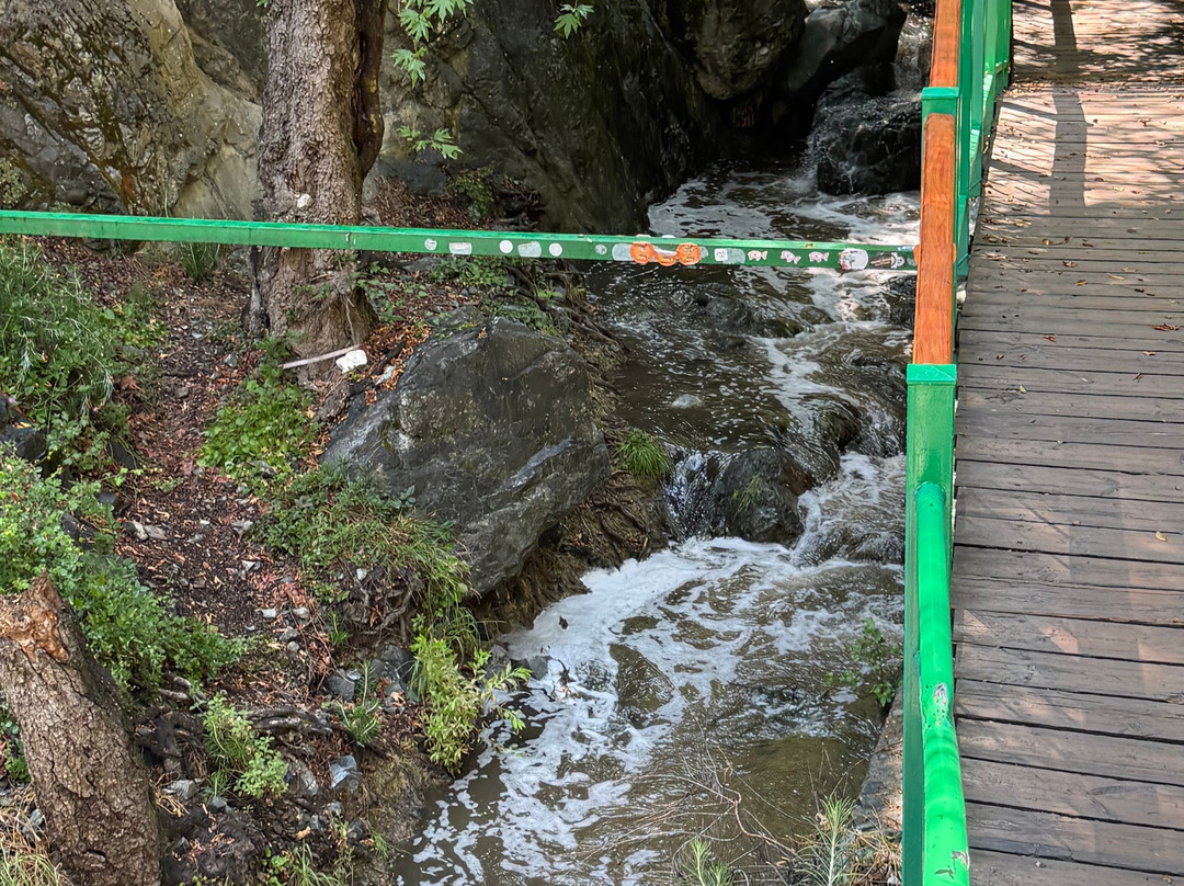 Millomeris Waterfall-帕拉翠斯必去景点