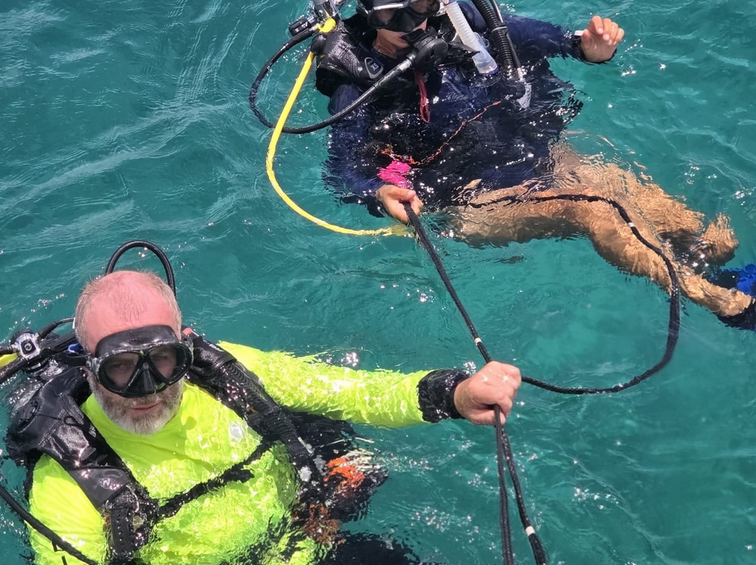 Dive Carriacou-Carriacou Island必去景点