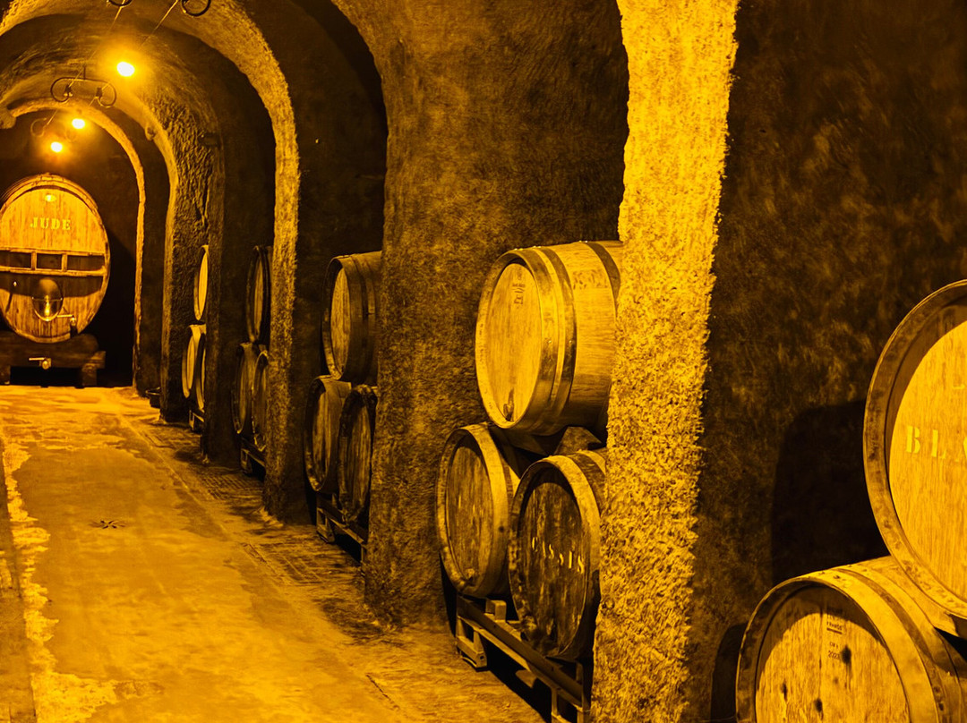 La Cave Aux Coquillages-Fleury-la-Riviere必去景点