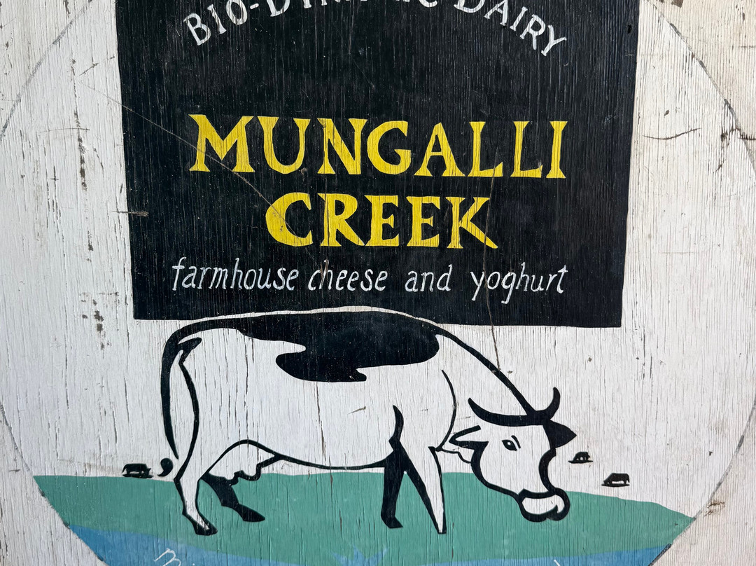 Mungalli Creek Dairy Farm-Millaa Millaa必去景点