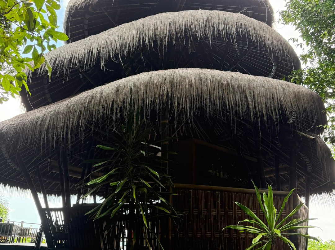 Cempedak Private Island主图