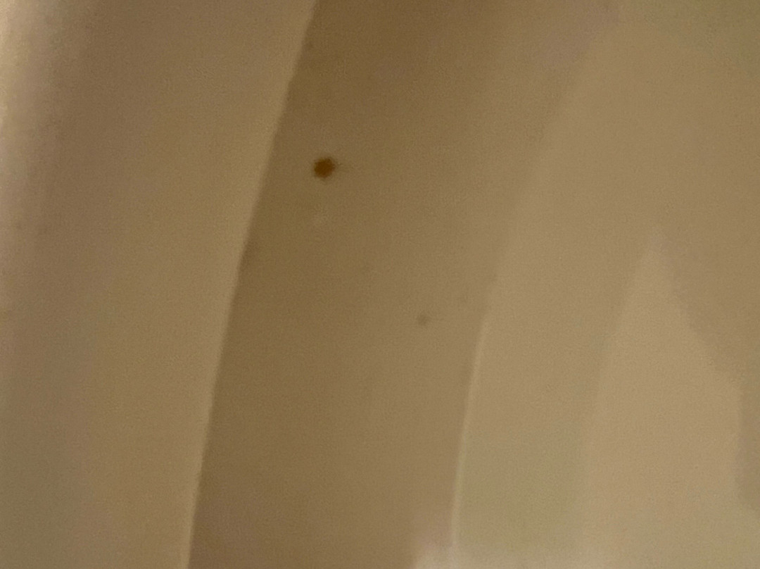 风树酒店主图