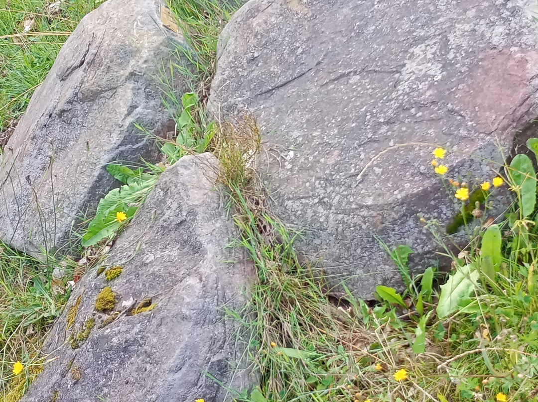 Findlingsring Breetze-Bleckede必去景点