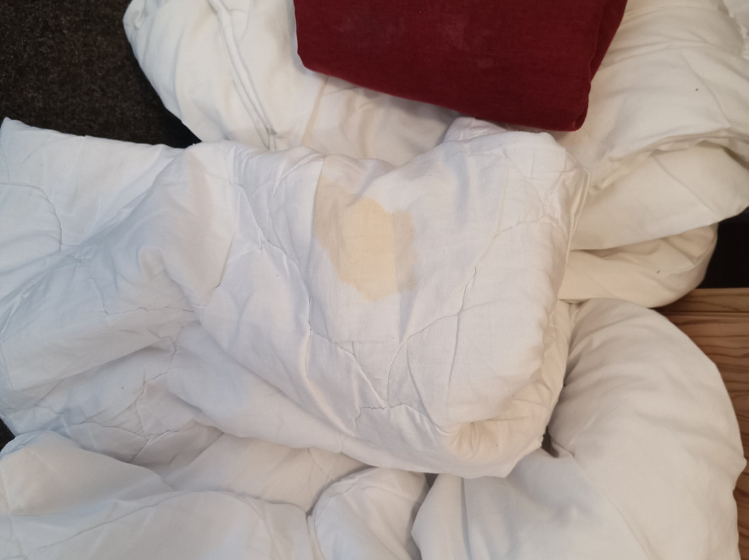 Sport Hotel 肯青根体育酒店主图