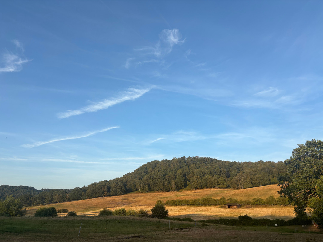 Kitty's View Country Lodges