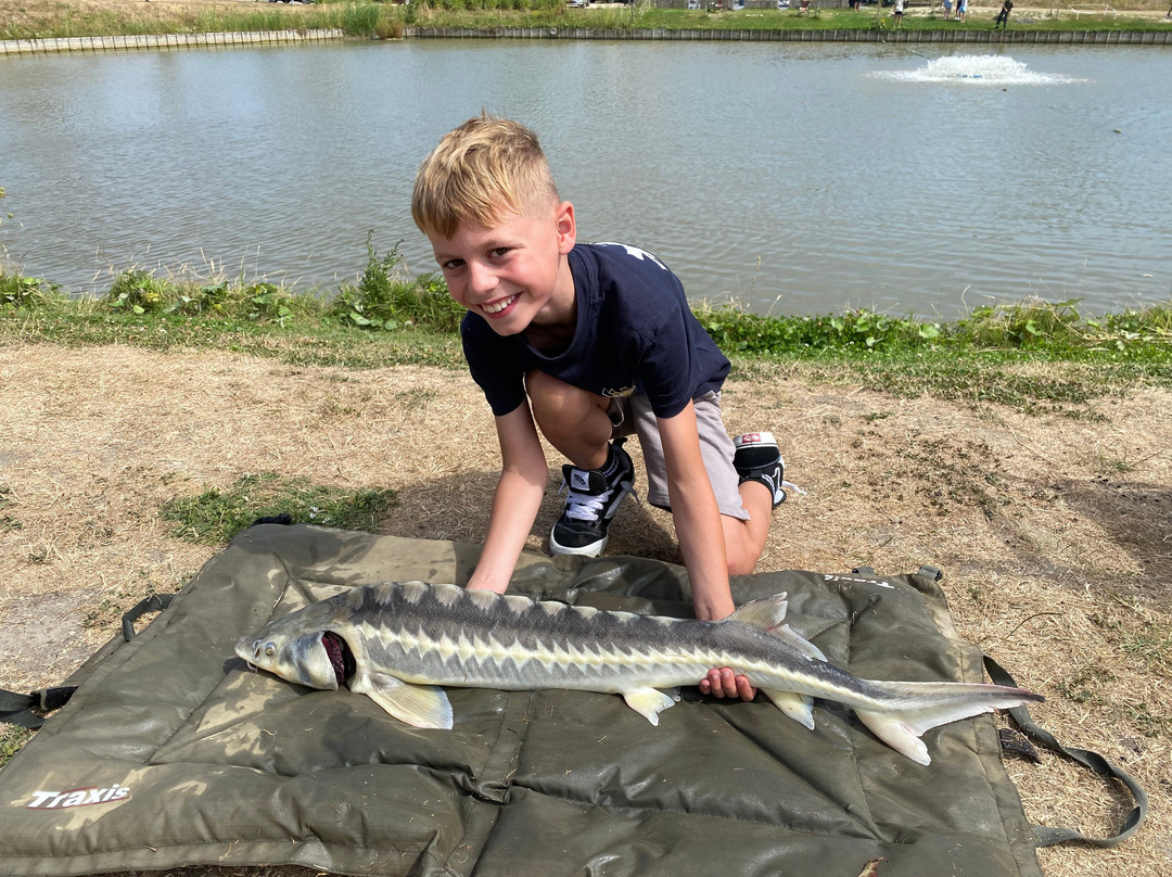 Fish Fun Vrouwenpolder
