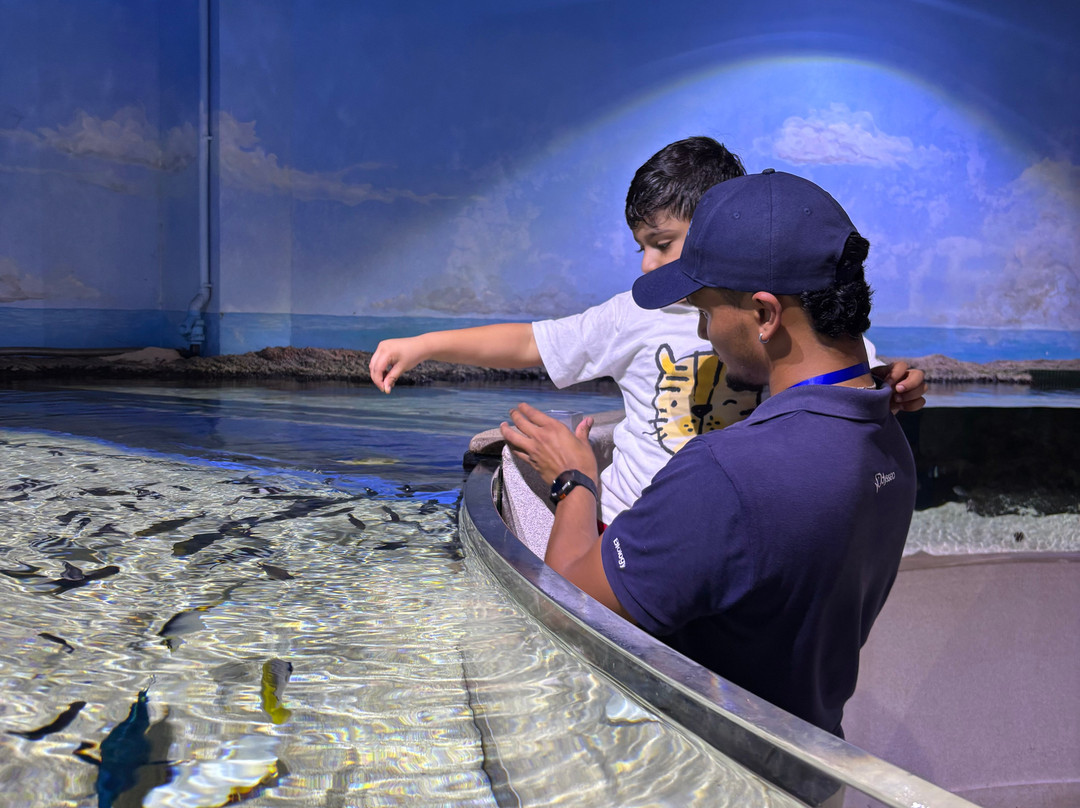 Odysseo Oceanarium Mauritius-路易士港必去景点