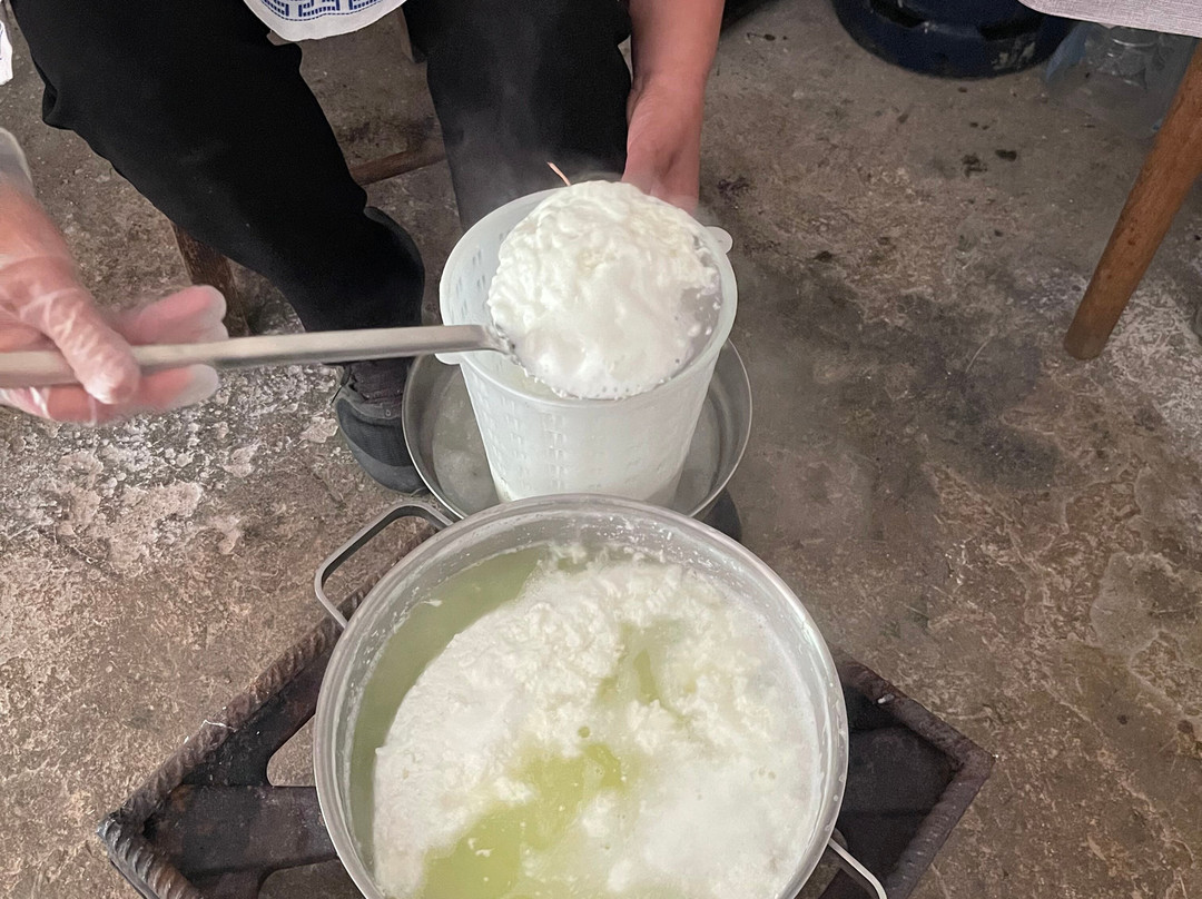 Crete: Shepherd Experience with Cheese Making & Food tasting-Anogia必去景点