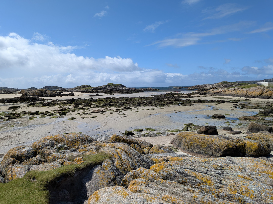 Mull Wildlife Breaks-Salen必去景点