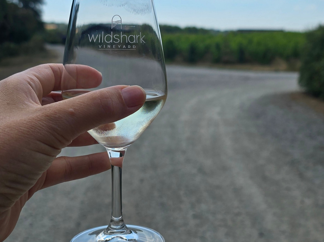 Wildshark Vineyard-Harrietsham必去景点