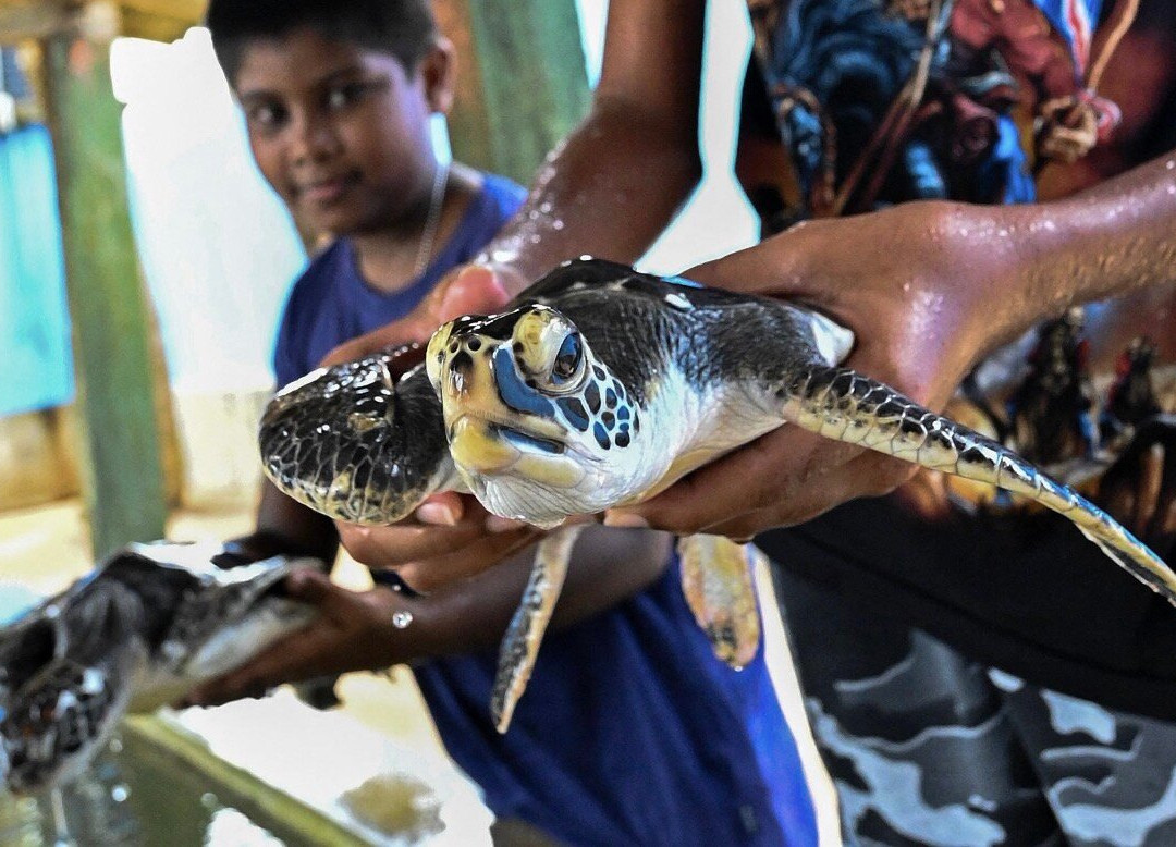 Smart Tours Sri Lanka-科伦坡必去景点