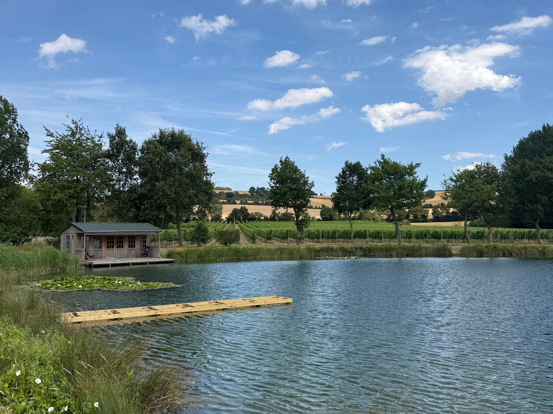 Wildshark Vineyard-Harrietsham必去景点