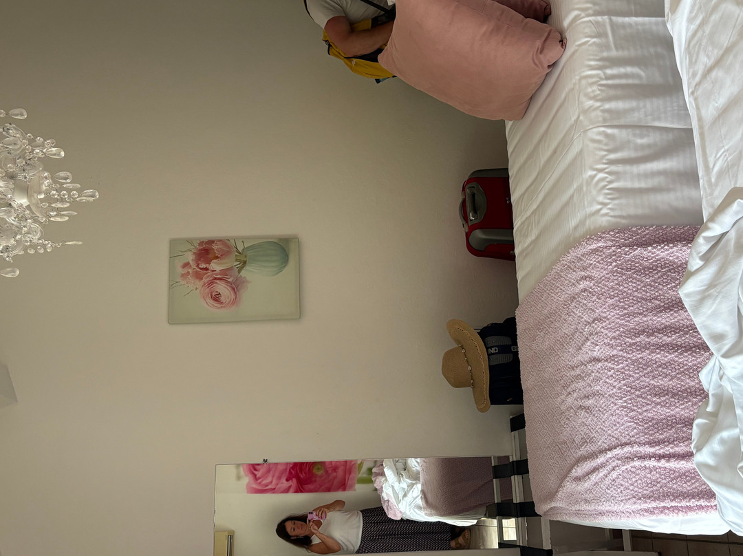 Hotel Le Mediterranee主图