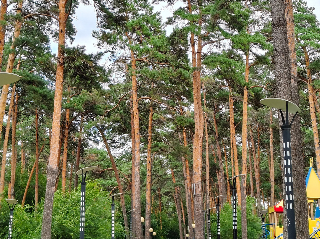 City Park of Culture and Leisure-Belogorsk必去景点