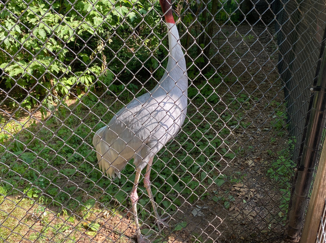 Wildwood Wildlife Park & Nature Center-Minocqua必去景点