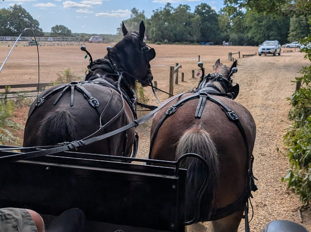 Burley Wagon Rides-Burley必去景点