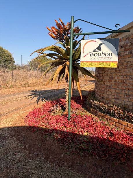 包乌包乌家庭旅馆-旅行者