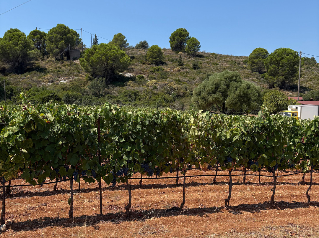 Gentilini Winery & Vineyards-Minia必去景点