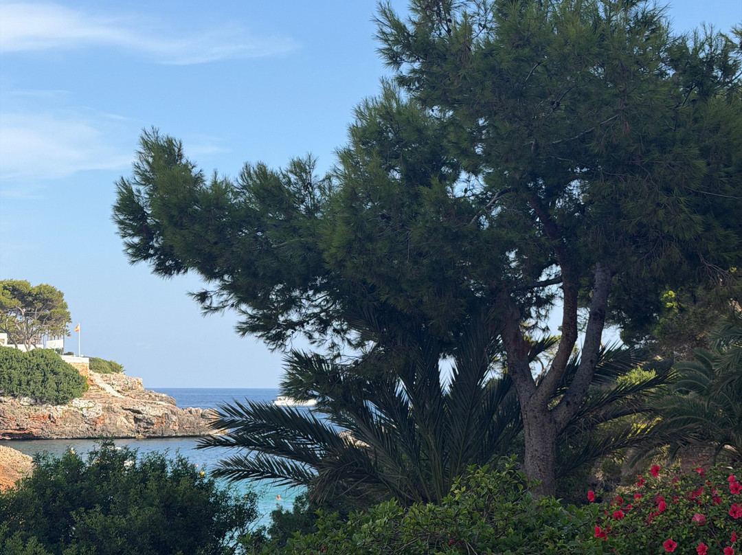 AluaSoul Mallorca Resort - Adults Only主图