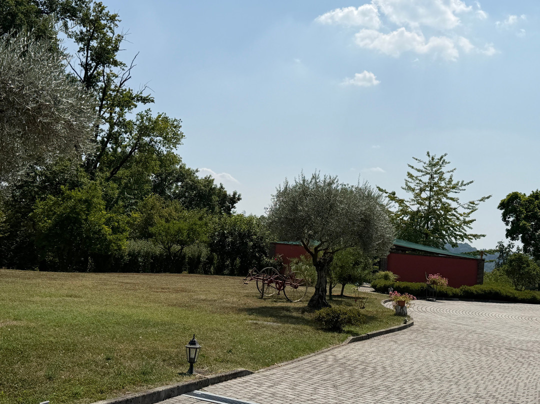 Tenuta La Vigna主图