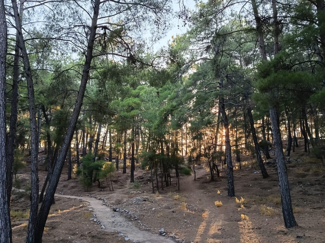 Kadyanda (Cadianda)-Yesiluzumlu必去景点