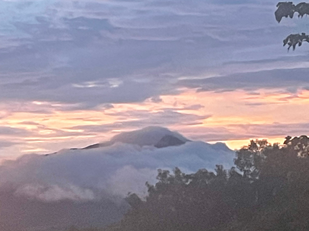 林康生态探险乐园美景 SPA 酒店主图