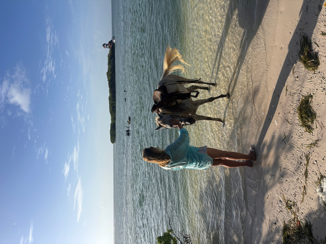 Los Potrillos Holbox