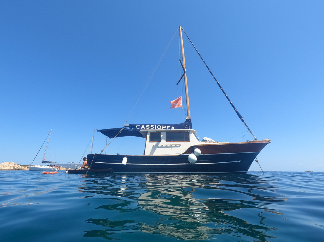 Asinara Charter Service-斯廷蒂诺必去景点