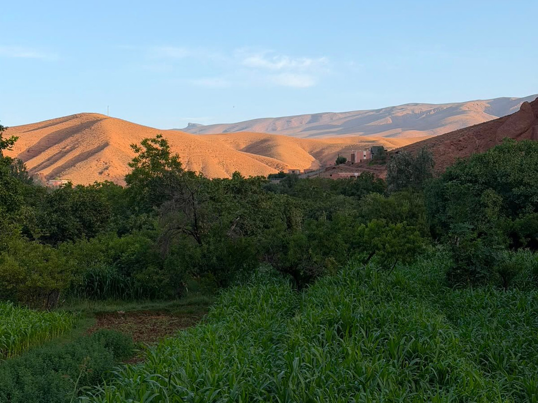 Moroccan Guides Travel-马拉喀什必去景点