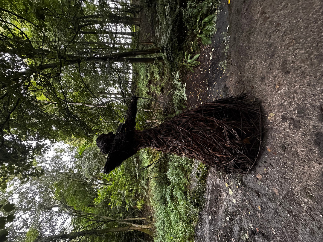 Skipton Castle Woods-斯基普顿必去景点