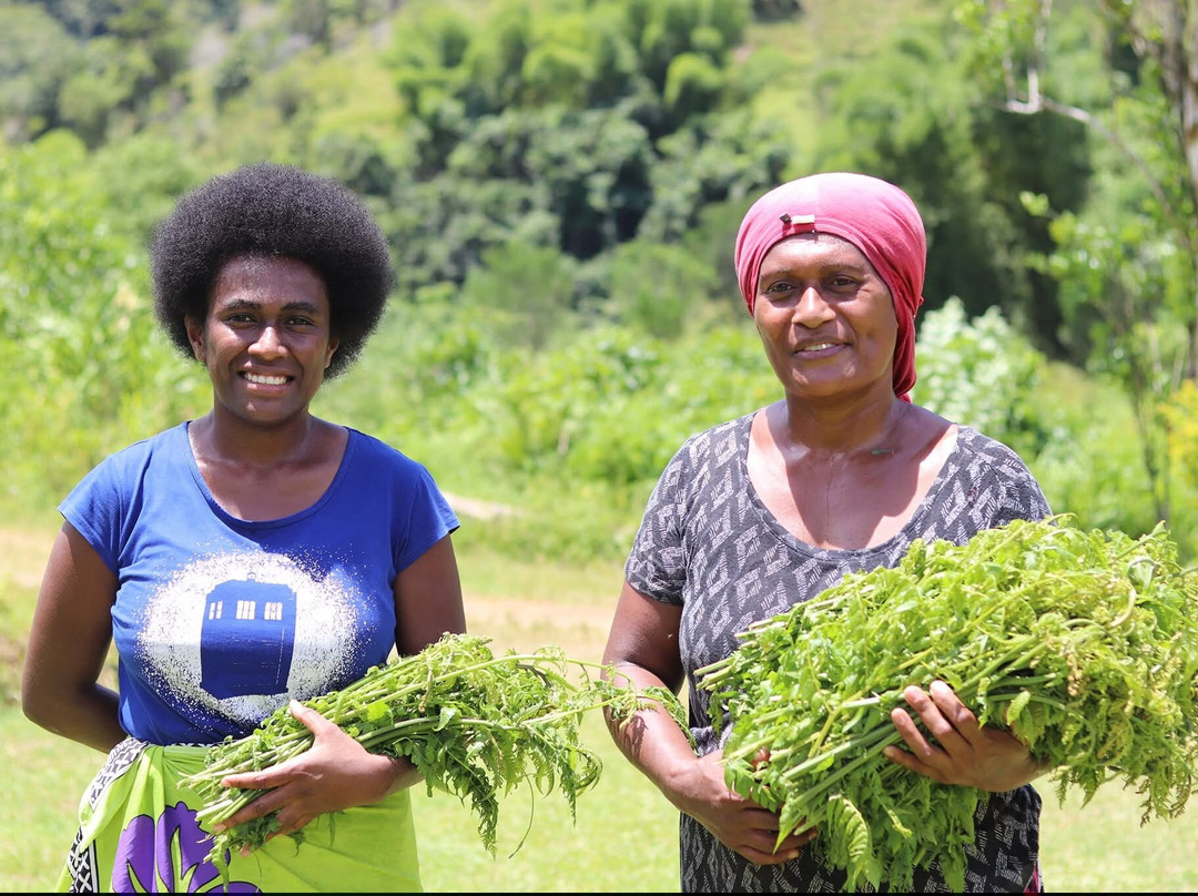 Eco Highland Backpackers Fiji