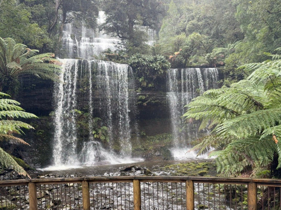 Russell Falls-费尔德山国家公园必去景点