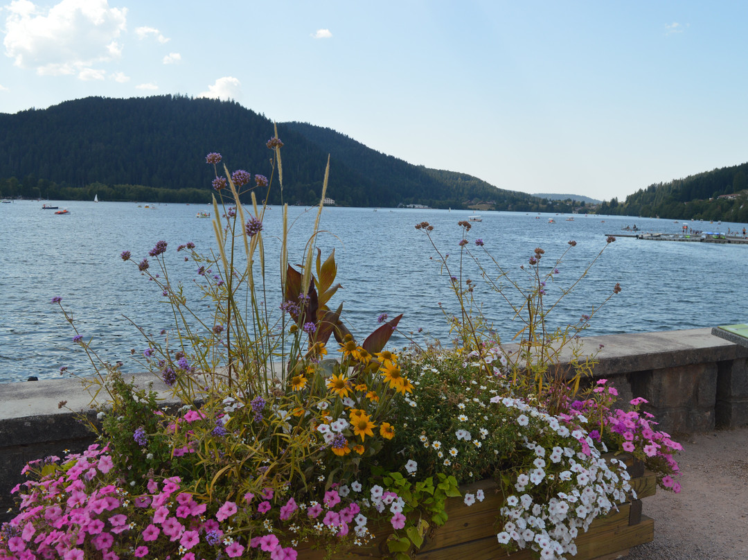 Lac de Gérardmer-热拉尔德梅必去景点