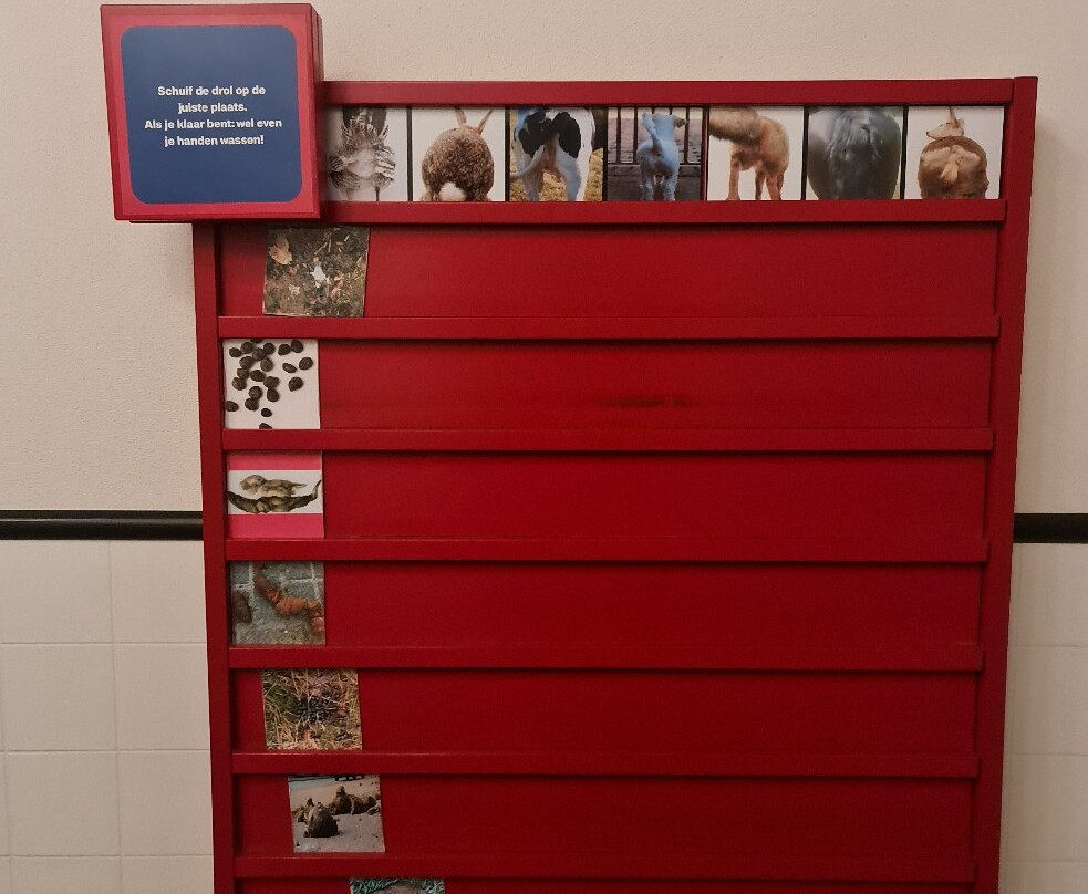 Natuurmuseum Fryslan-吕伐登必去景点