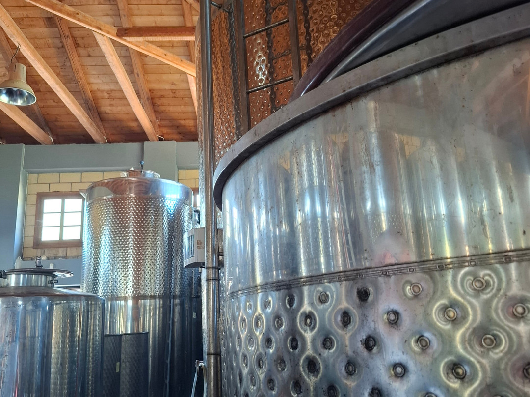 Lefkaditiki Winery-Fterno必去景点