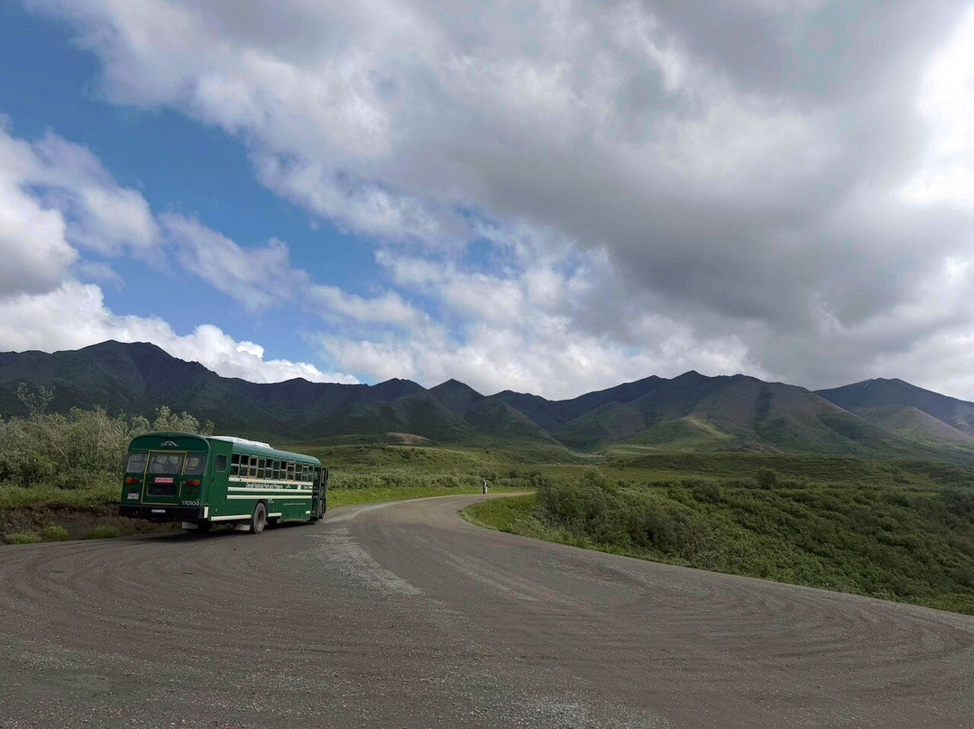 Denali National Park-阿拉斯加必去景点