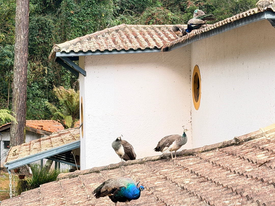 Pousada Villa d'Amore主图