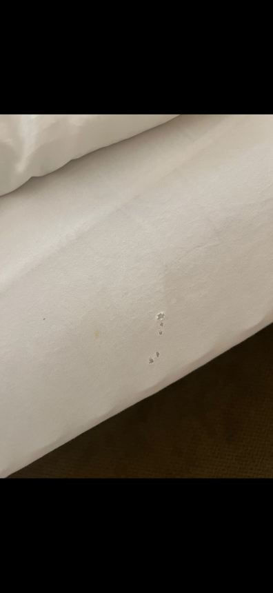 福肯斯坦纳水晶酒店 l 四星高级-旅行者